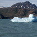 Lago Argentino - Iceberg