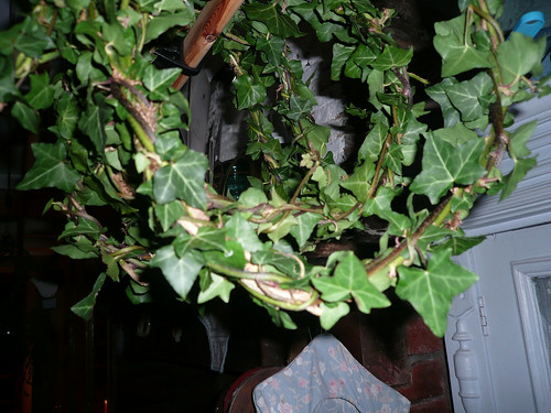 Ivy wreaths3