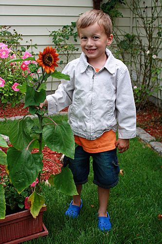 Nathan-and-his-sunflower