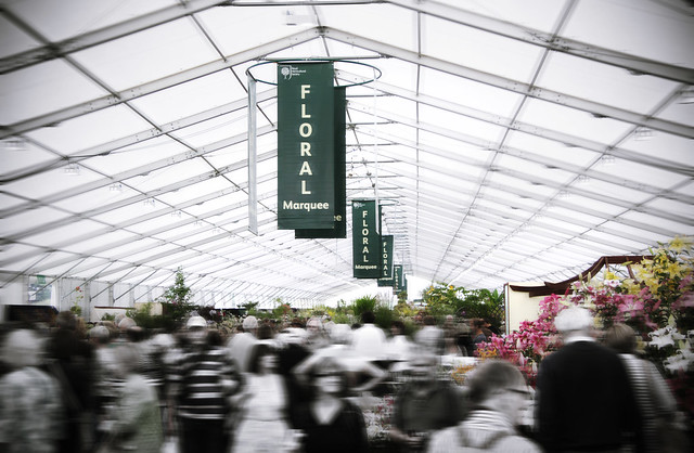 Largest ever... floral marquee