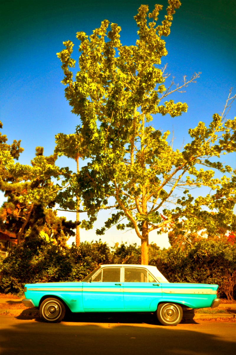 Blue car and tree (faux Instagram); click for previous post