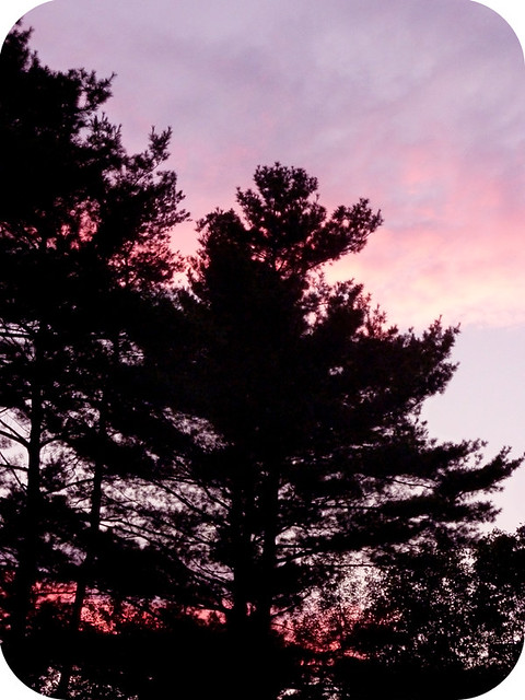 Sunset in the Pines, Holyoke, MA