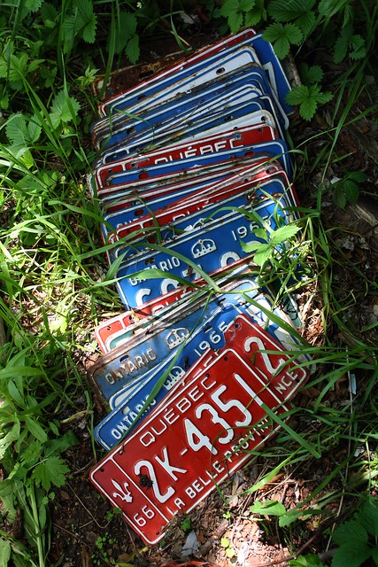 there were hundreds of license plates scattered about the property, all between 1966-68.