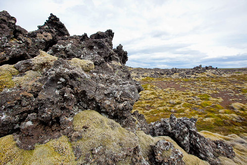 Icelandic Moss Covers Lava Rocks