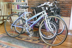 Cat and bikes