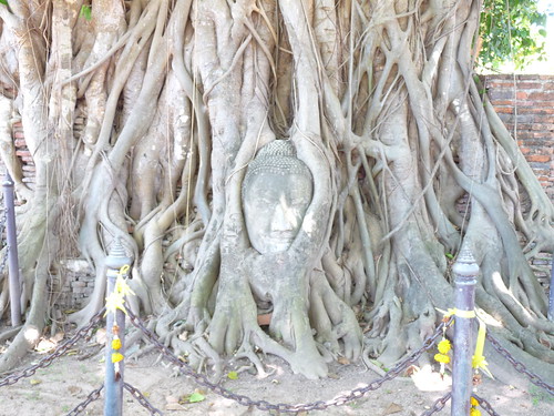 Viaje a Tailandia de 15 días - Blogs de Tailandia - Los templos de Ayutthaya (Día 7) (10)