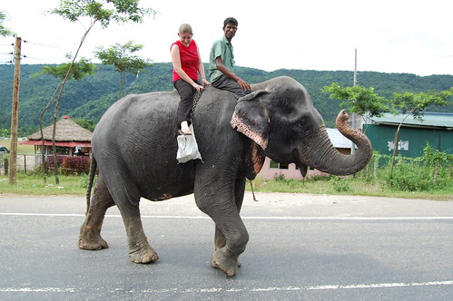 Iona took a ride on elephant