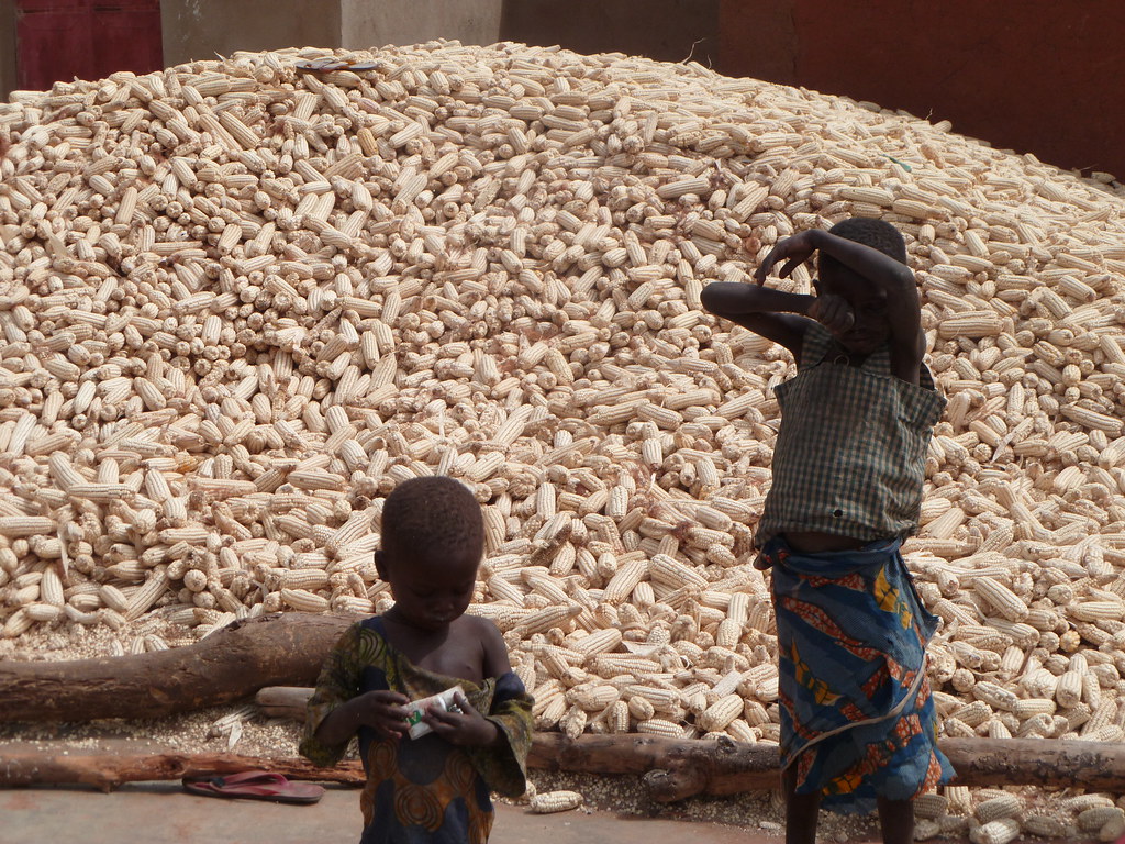 Enfants et maïs Togo