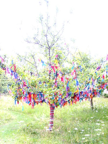 Wishing Tree @ Nunnington Hall 7/7/11