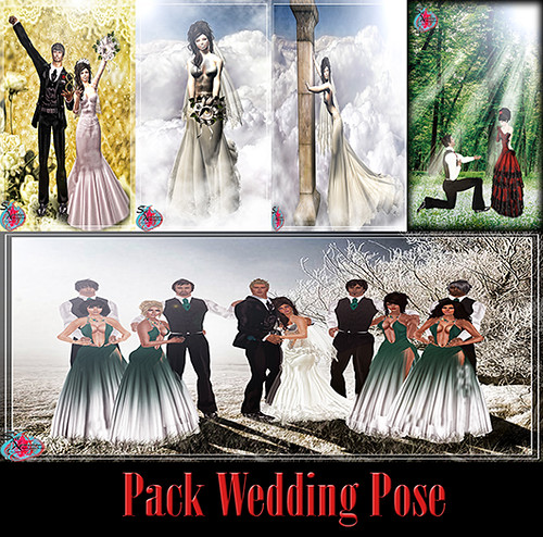 .:. Seil Xpression .:. Wedding Pose Pack 01  by Seil Xpression