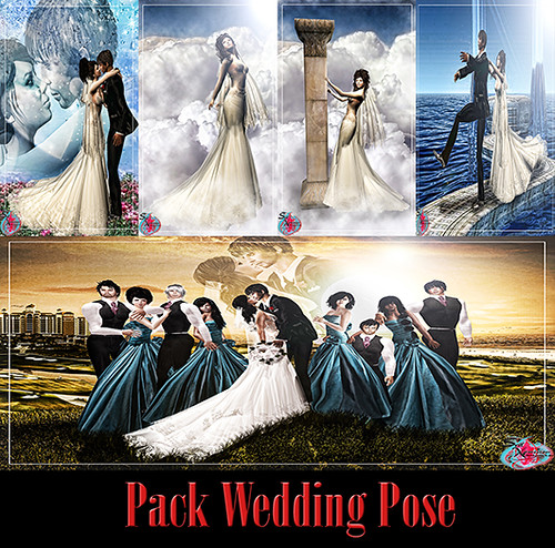 .:. Seil Xpression .:. Wedding Pose Pack 03  by Seil Xpression