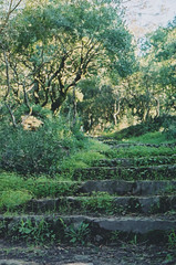 Stairwell in Serra do Buçaco