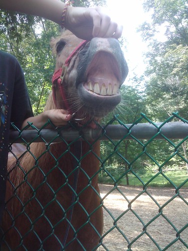 Funny horsey face!