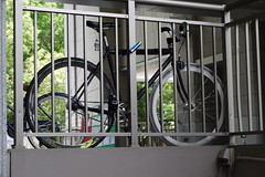 Kyoto University Bicycle