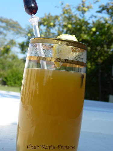 Cocktail du singe de Brétignolles à base de trousseminette et de rhum