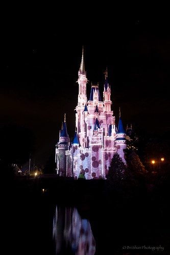 Castle with Mickey Icons.jpg by Brian E Mitchell