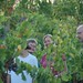 grape harvest priroat spain 2011 03