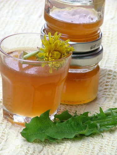 sciroppo di tarasacco - Dandelion syrup