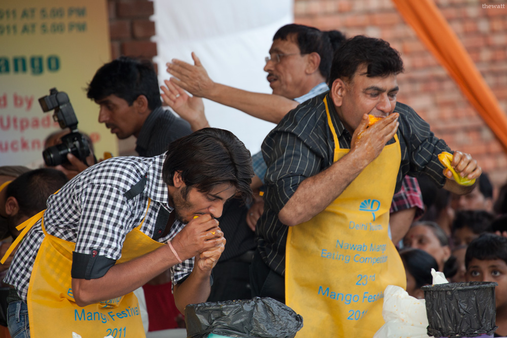  В рамках очередного фестиваля манго в Дели прошёл 
