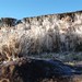 O frio em imagens no topo da Serra do Rio do Rastro