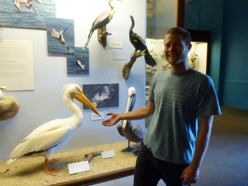 Me and Pelicans