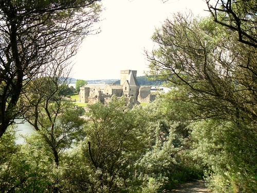 Inchcolm Abbey Framed by Trees
