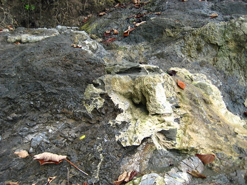 Osa Peninsula Rocks