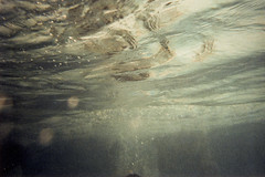 analoog onderwater