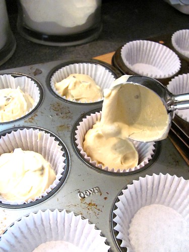 Chocolate Chip Irish Cream Cupcakes with Baileys Buttercream