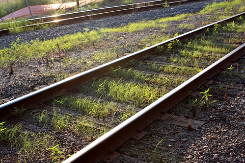 grass growing between the rails