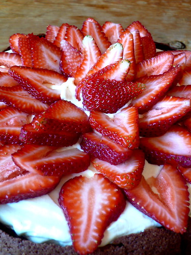 Cracked Earth Chocolate Cake with Stabilized Whipped Cream and Strawberries