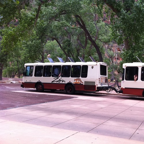 Zion buses