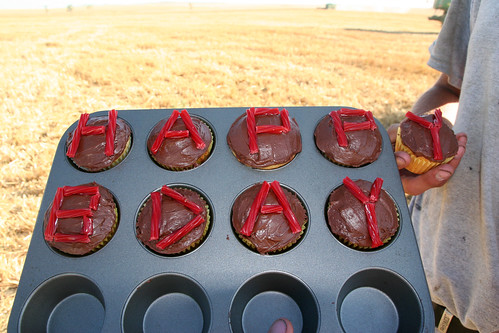 Andreas birthday cupcakes