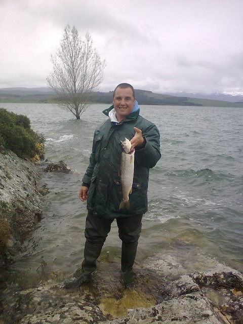 Trucha pescada en el pantano del Ebro, Reinosa (zona de Orzales)