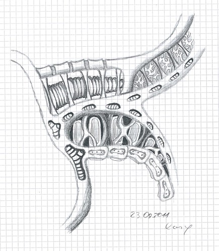 My first try in biomechanical drawings Photo by Chris Xenyo