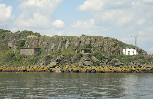Inchcolm Island 2
