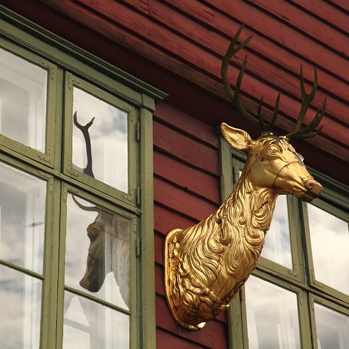 Oh (Norwegian) deer,.. hopefully they'll find back the hope and strenght to get back on their feet in Norway. by BlacKie-Pix