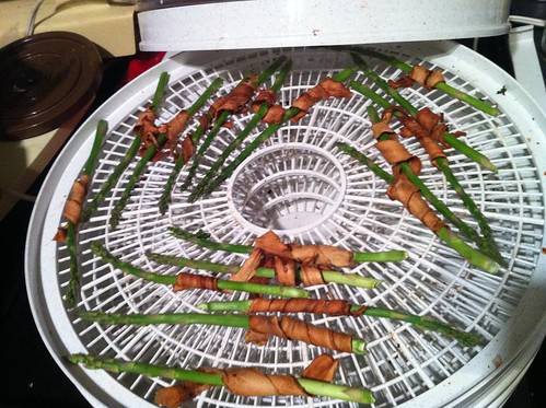 dehydrating bacon-wrapped asparagus by unglaubliche caitlin