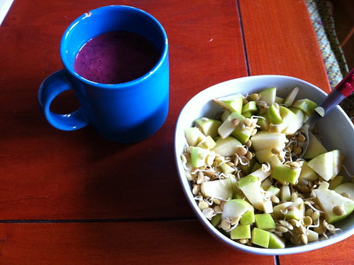 blueberry strawberry smoothie and sprouted lentils with apples by unglaubliche caitlin