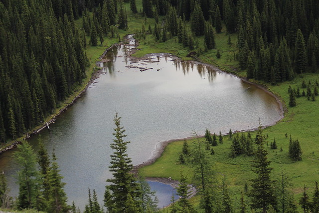 The Lake And The Meadow