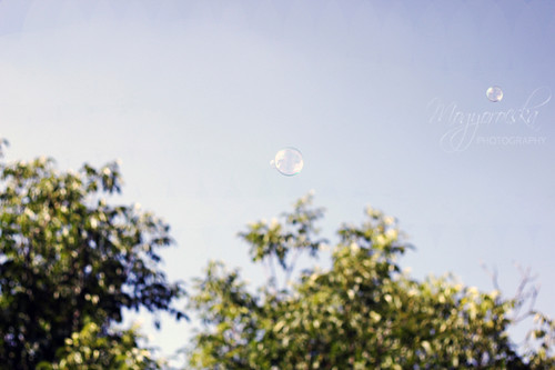 [35/365] My bubble dreams / Buborék álmok