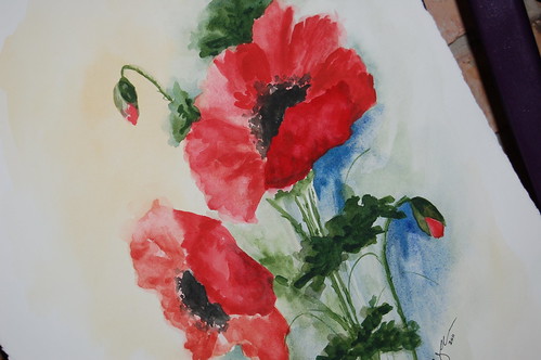 Painting Poppies - Strandz