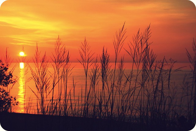 beach sunset pendergrass