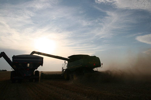 A combine dumps on the go as the sun goes down