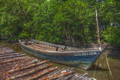 HDR - boat for transport the mangrove