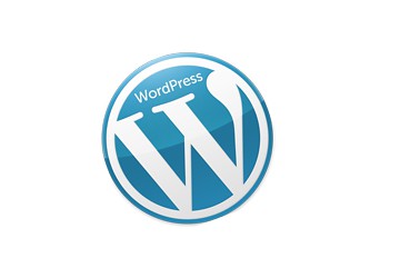 Wordpress Custom
