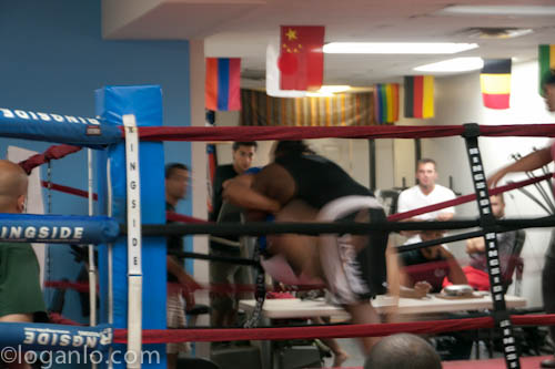 Grappling bout in the Bronx NYC