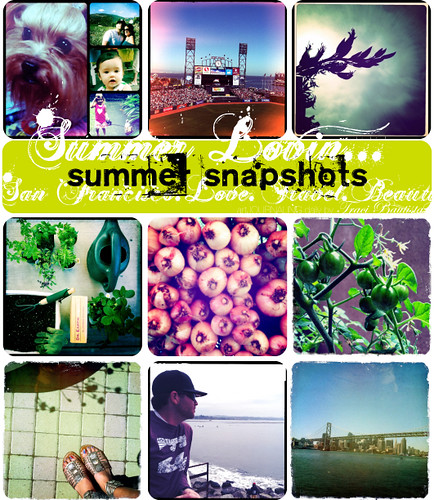 document your summer in photos!