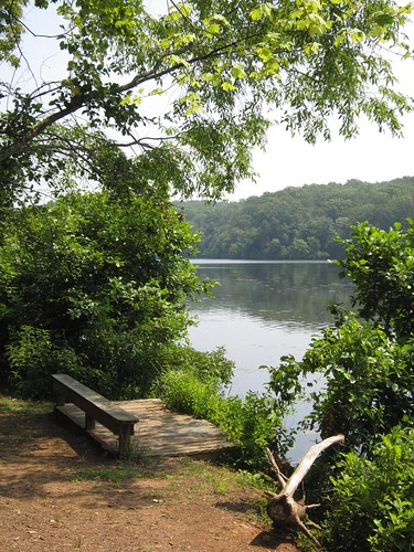 The scenic shores of Holliday Lake State Park