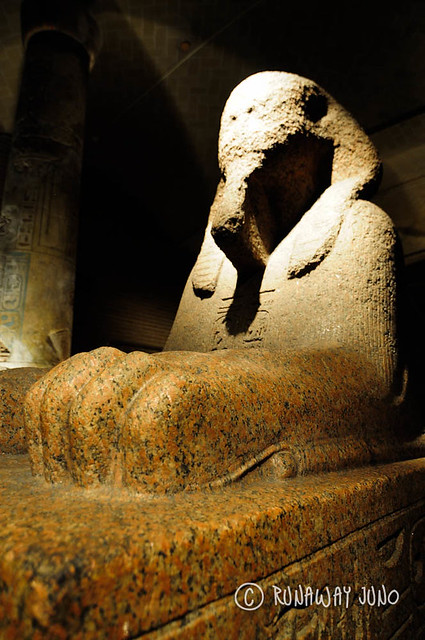 Sphinx at Penn Museum